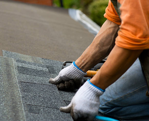 Best Roof Repair Services  in Auburn, MI