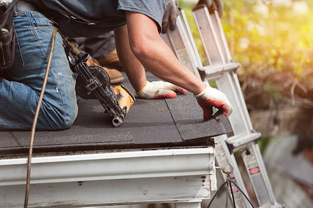 Best Storm Damage Roof Repair  in Auburn, MI